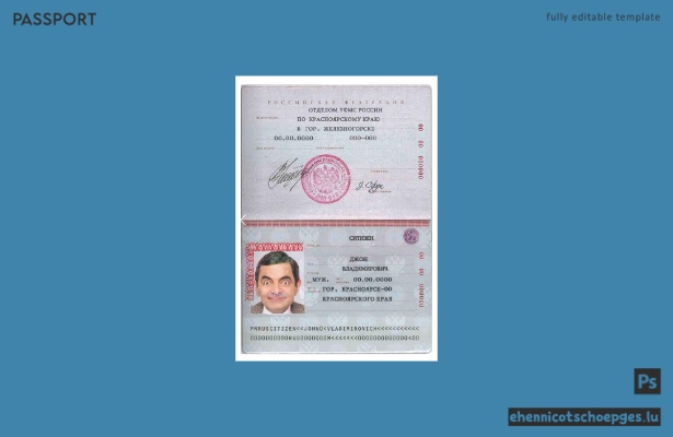 Vorschau eines Beispiels eines russischen Standardpasses